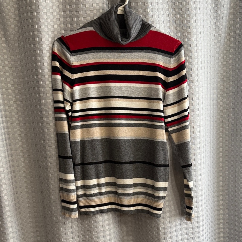Joseph A Multicolor Striped Turtleneck Sweater